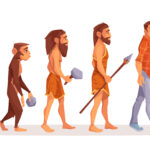 Human evolution of monkey to modern man programmer, computer user isolated on white background. Male character evolve steps from ape to upright homo sapiens, Darwin theory. Cartoon vector illustration